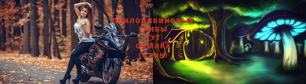 сатива Алексин