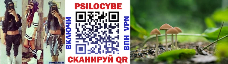 Псилоцибиновые грибы Cubensis  наркошоп  Полярные Зори 