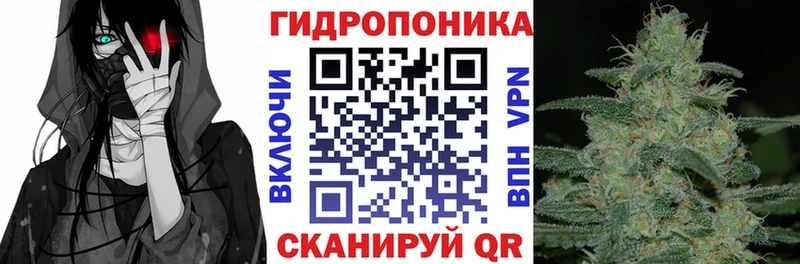 купить  сайты  Полярные Зори  Шишки марихуана конопля 